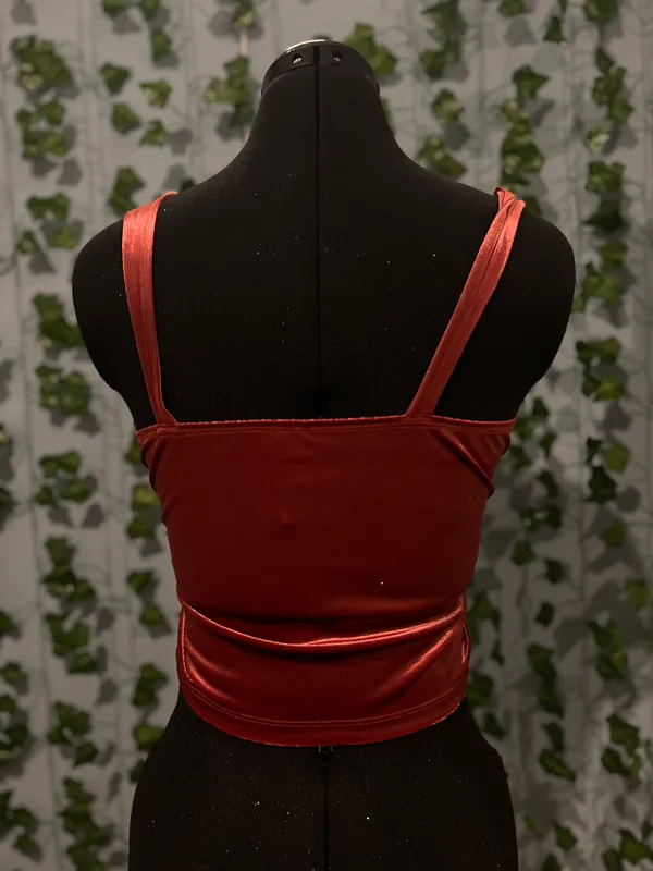 Wild Fable Y2K inspired Deep burgundy crop top - Image 3