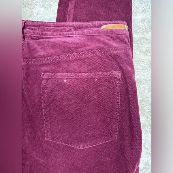 Anthropologie Pilcro and the Letterpress Serif burgundy corduroy skinny pants - Image 6