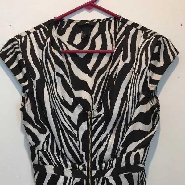 Womens H&M Black and White Satin Zebra Print Shirt Dress Size 6 - Image 3