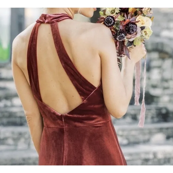 Revelry Tori Velvet Dress - Terracotta - Image 3