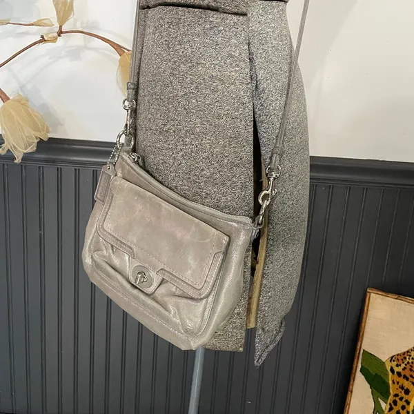 COACH Poppy Silver Metallic Gray Leather Crossbody Bag 🧡🎀 - Image 3