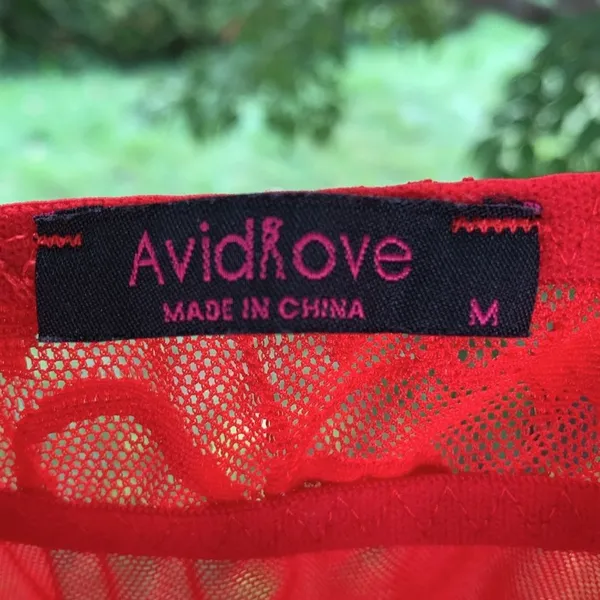 Source Unknown Red lace lingerie, M - Image 3
