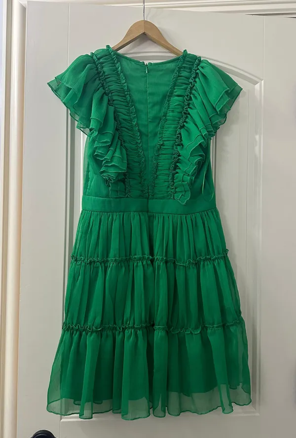 Lena Green Ruffled Fit and Flare Dress (from boutique) - Image 2