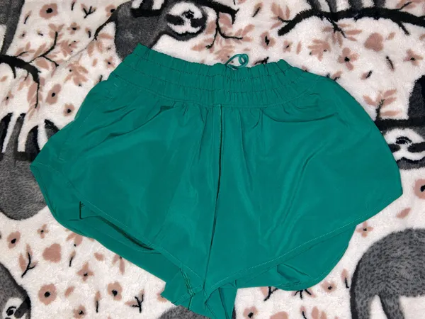 Aerie Green Shorts - Image 4
