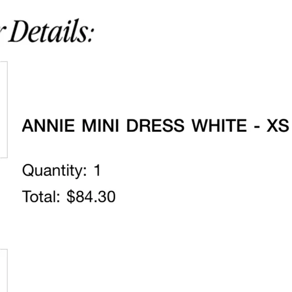 Annie Mini Dress Outcast Exclusives⭐️ - Image 6