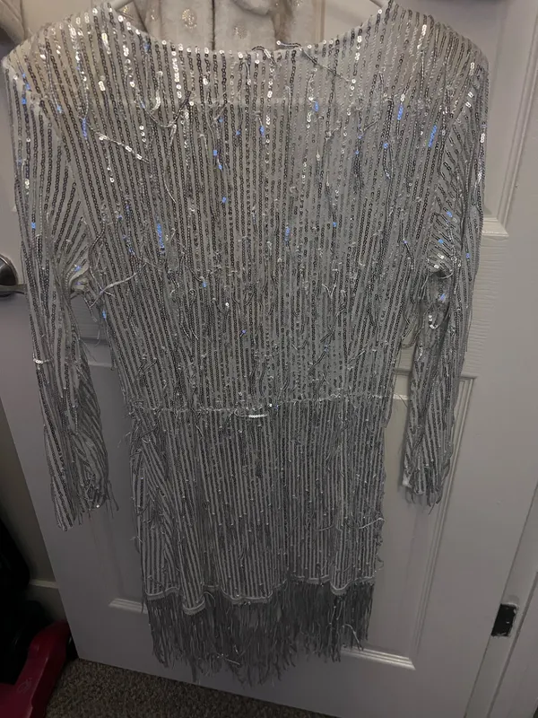 Sparkly Silver Fringe Dress - Image 2