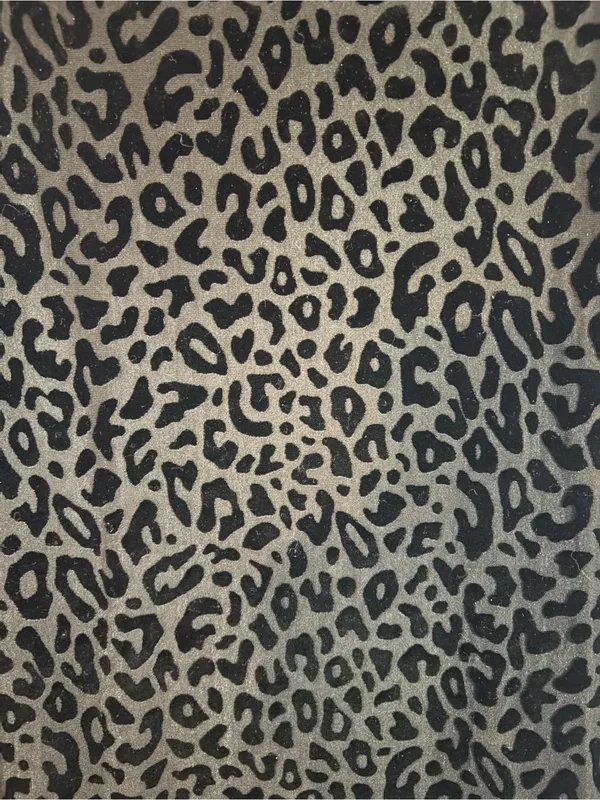 No Boundaries Leopard Print Maxi Skirt | Size: XS - Image 2