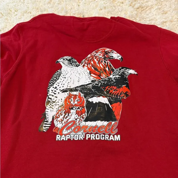 Cornell Red Raptor Sweatshirt Size M - Image 4