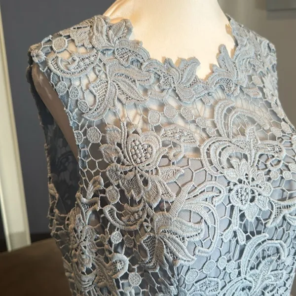 Women’s Blue Gray Chiffon & Lace Full Length Bridesmaid Formal Dress Size 12 NWT - Image 7