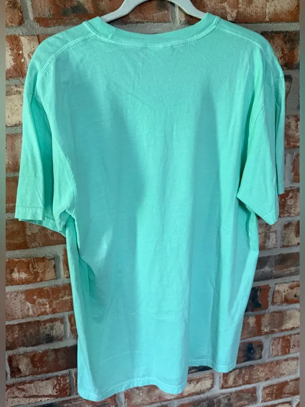 Comfort Colors Mint Green Short Sleeve Tee with Flaming Leopard Graphic - Image 3