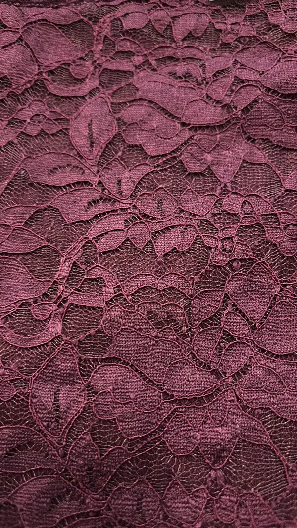 Tillys burgundy lace top - Image 3