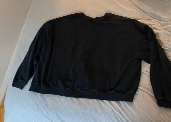 Champion Cropped Crewneck Long Sleeve - Image 4