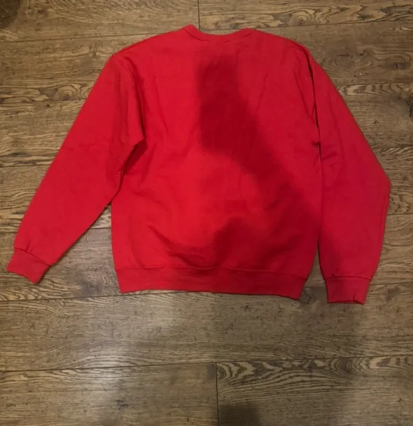 Halloween Costume - Alvin and the Chipmunk Sweatshirt - Image 4