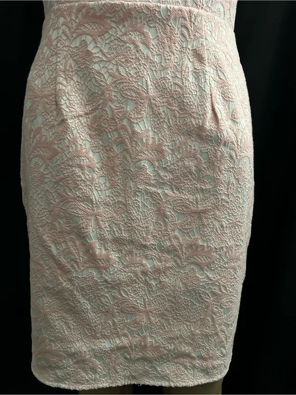 Moon Sleeveless Pink Lace Sheath Dress XS - SM - Image 8