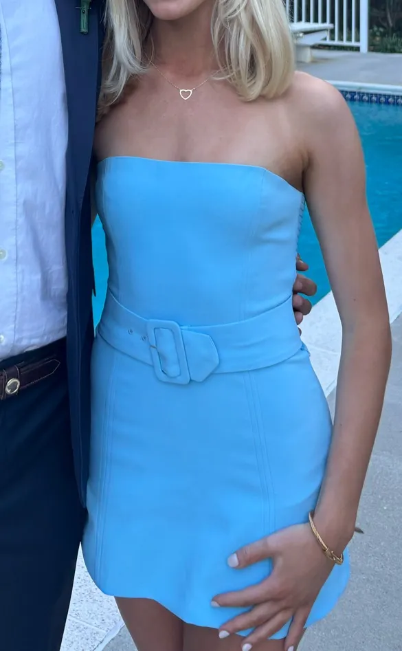 Amanda Uprichard Mini Dress - Image 2