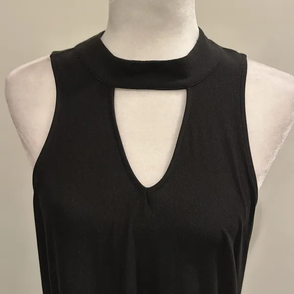 NWT Evereve RD Style Keyhole Mock Neck Tie Dress Sz L - Image 2