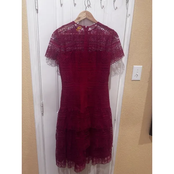 ANTONIO MELANI Red Ochre Lace Overlay Midi Dress, Mermaid-styleHem, Lined, Sz 10 - Image 2