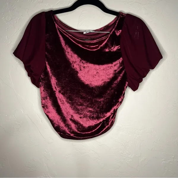 Intimately Free People Midnight Mood Velvet Burgundy Ruched Puff Sleeve Crop Top - Image 4