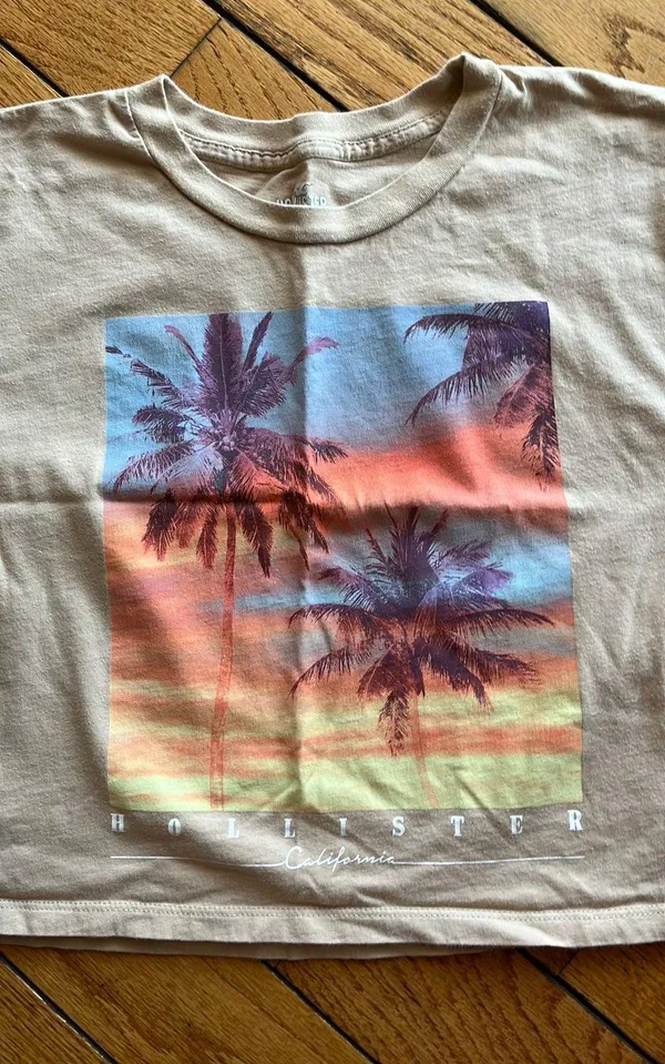 Hollister Tan Cropped Graphic Tee - Image 4