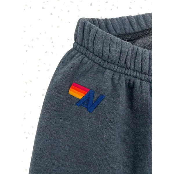Aviator Nation 7 Stripe Sweatpants Rainbow Charcoal Dark Blue Gray Jogger Size S - Image 4
