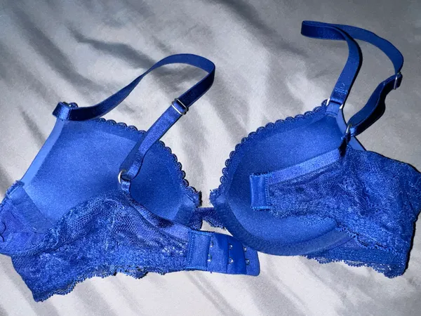 Aerie Bra - Image 3