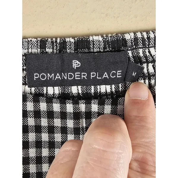 Pomander Place Tuckernuck Womens Abigail Black White Gingham Dress Medium - Image 4