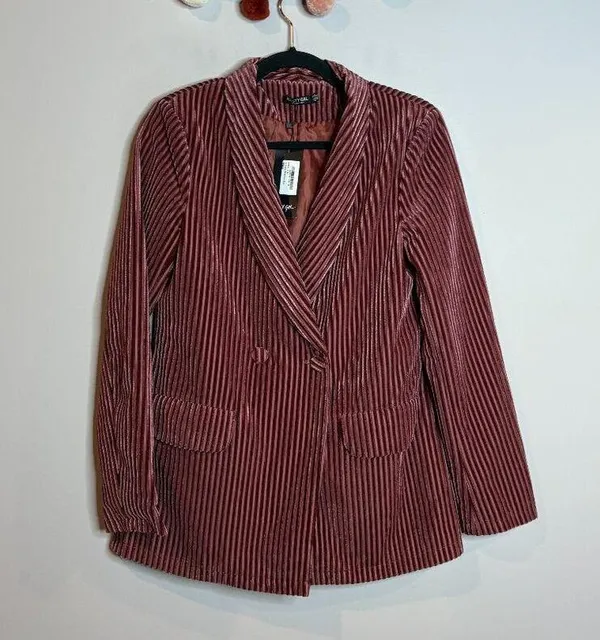 NWT Nast Gal Say It Stripe Velvet Striped Blazer - Image 2