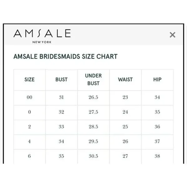 Amsale Sz 0 Cerisa Ruby Bridesmaid Gown Full Chiffon Skirt‎ Ruched Bodice GB033F - Image 7