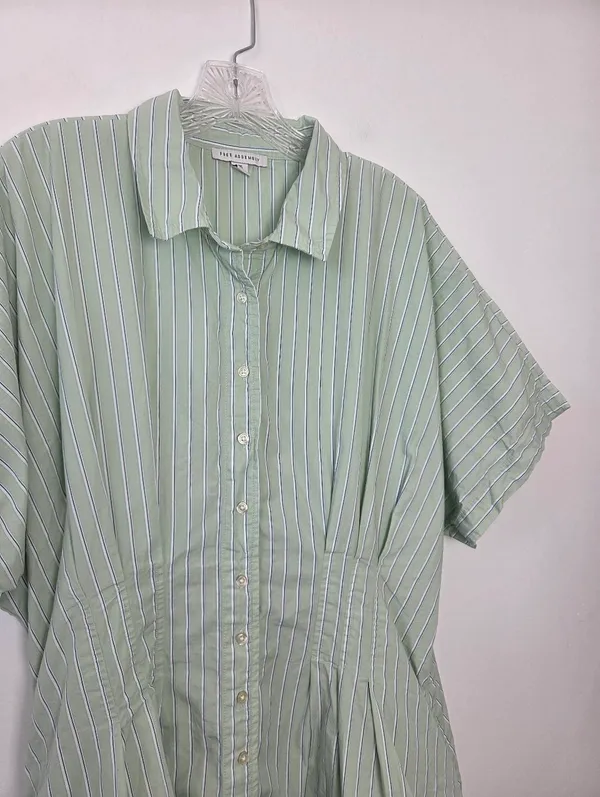 100% Cotton Lime Pastel Green Striped Shirt Dress Academia Preppy Plus Size XXL - Image 2