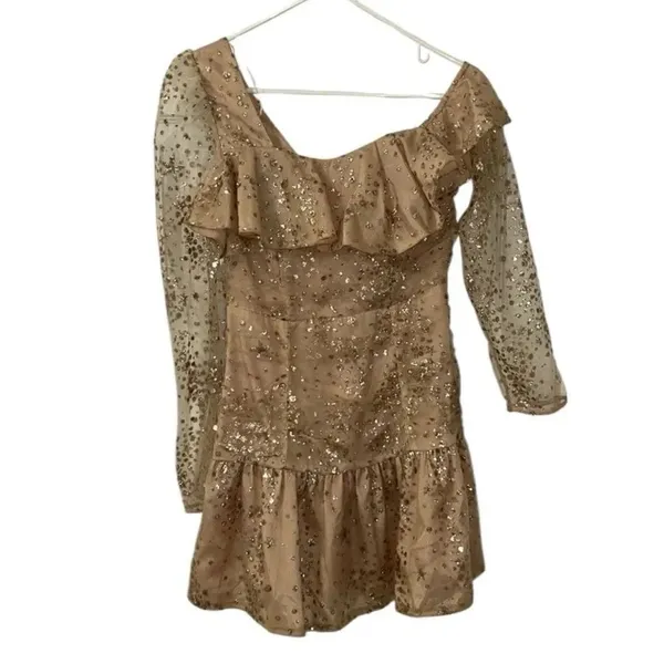 Endless Rose Sequins Mini Gold Nude Mini Dress(Size XS) - Image 5