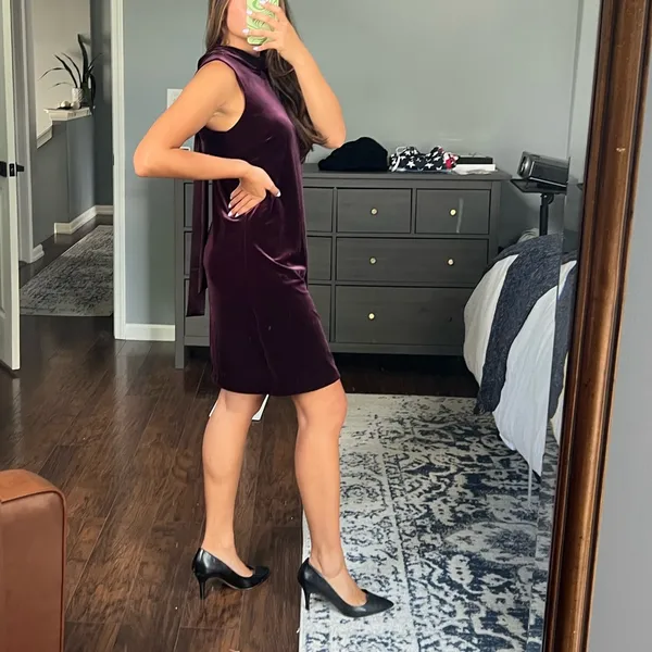 Ann Taylor Plum Velvet Dress - Image 4