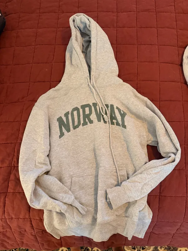 Brandy Melville Graphic Hoodie - Image 2