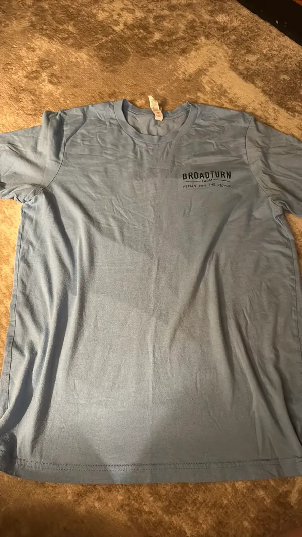 Blue tee Size L - Image 4