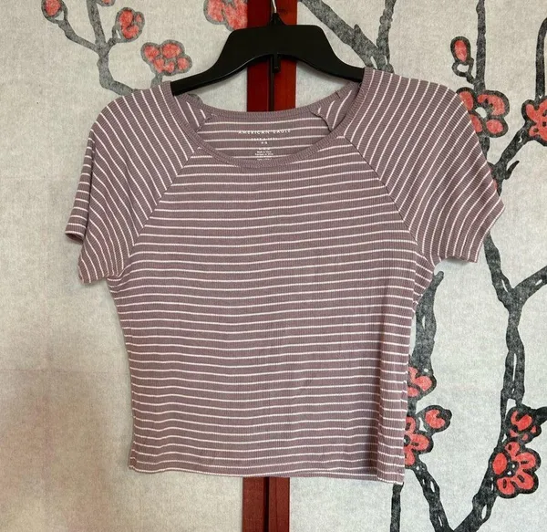 American Eagle 🦅 Crop Top T Shirt - Image 3