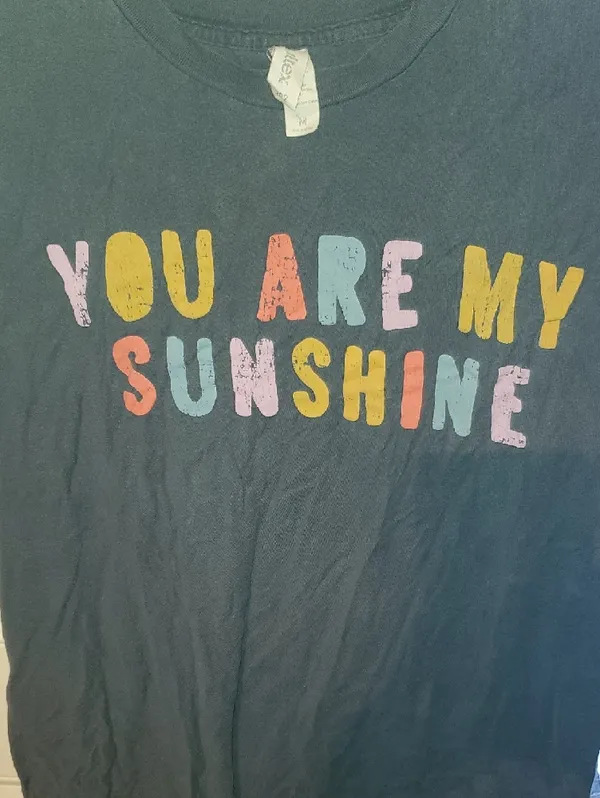 Tultex Navy Short Sleeve Tee With Multicolor "You Are My Sunshine" Print - Image 3
