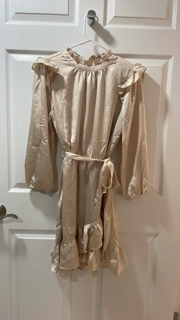NWT Champagne Asymmetrical Dress - Image 4