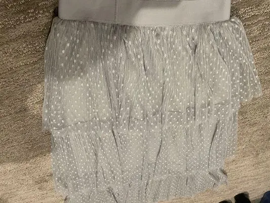 Chicwish Tulle Skirt - Image 3