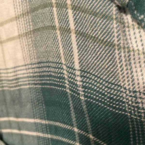 🎪🎪🎪BOGOHO 🎪🎪🎪Cato Plaid Button Up Top - Image 3