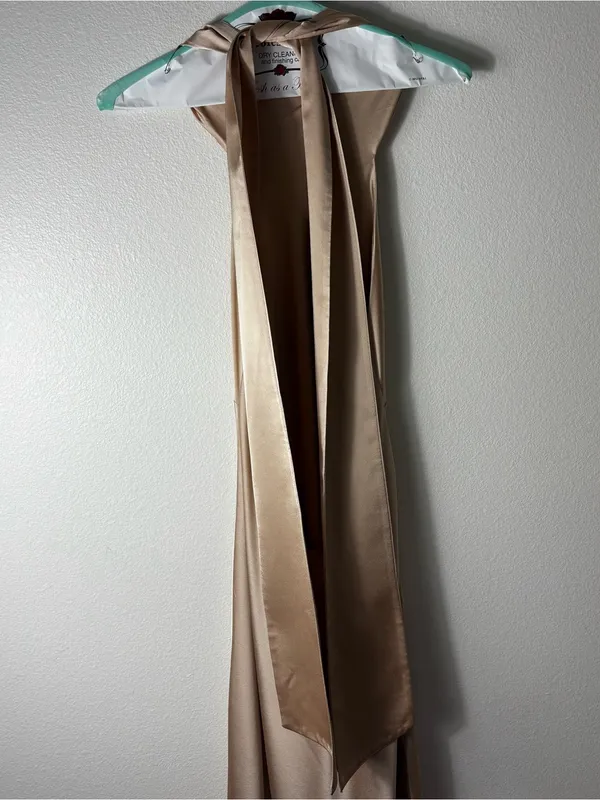 Show Me Your Mumu Lisa Maxi Dress Champagne Satin L - Image 4