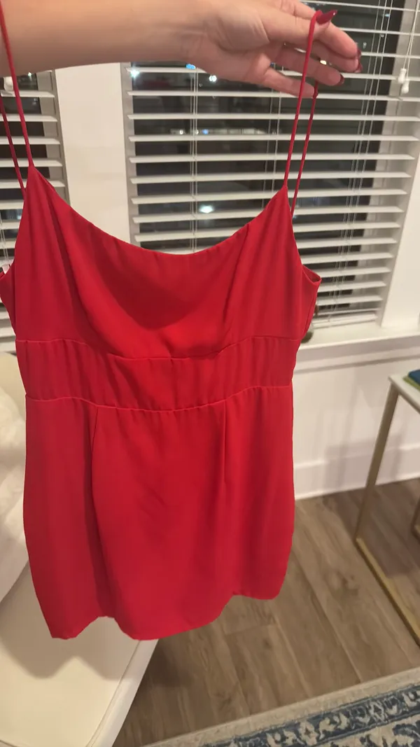 Revolve Dixie Superdown Backless Dress Red - Image 4