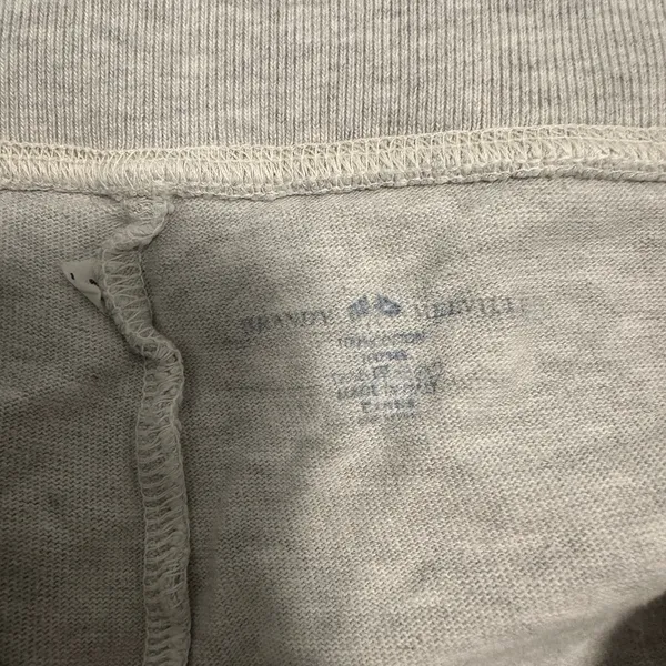 Brandy Melville Rainey Sweatpants in Gray - Image 4