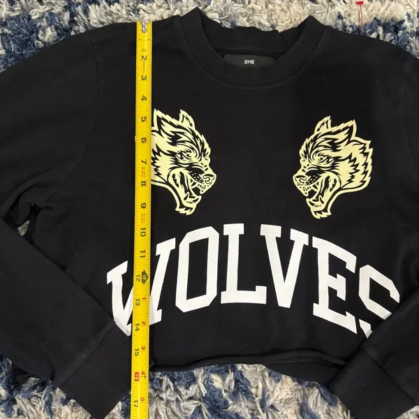 Darc Sport Grit Before Glory Cropped Wyoming Hoodie Small - Image 3
