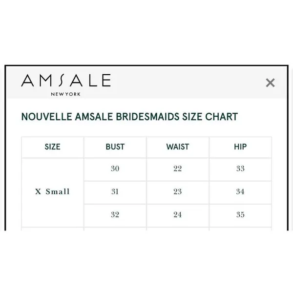 NWT NOUVELLE AMSALE Cait Gown XS - Image 6