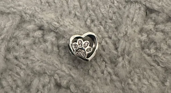 Pet Bracelet Charm 925 & CZ Silver - Image 2