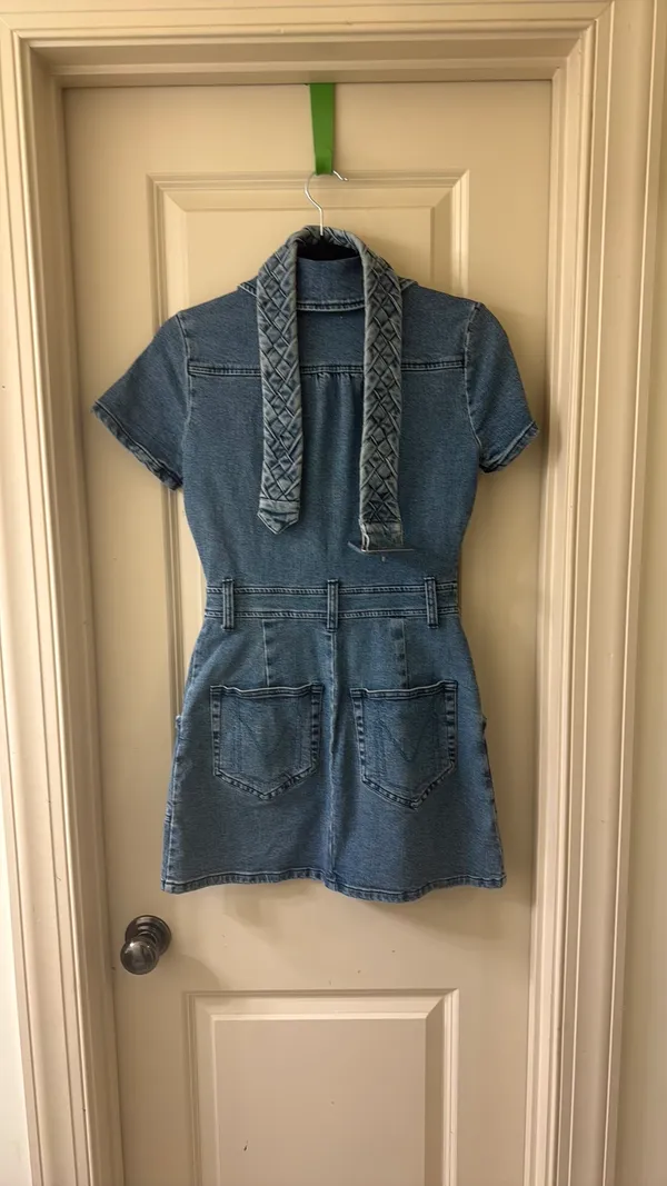 Show me your mumu denim dress - Image 3