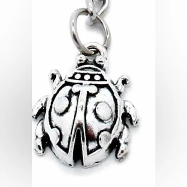 *30off3*‎ NWOT. Ladybug Keychain/Accessory. Makes a perfect gift!​ - Image 2