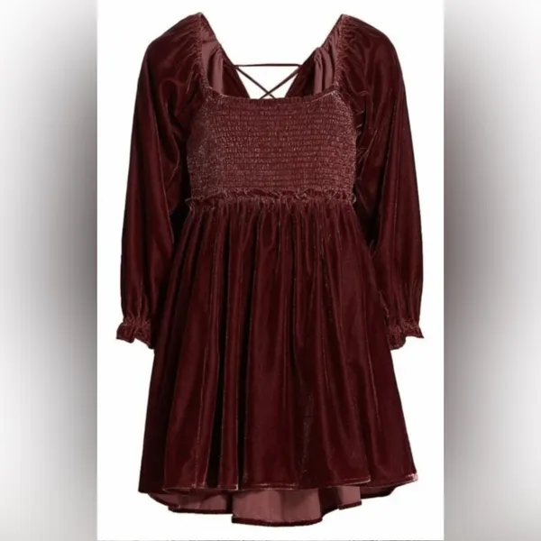 Free People Daphne Boho-Chic Velvet Whimsical Grunge Mini Dress Lace Back Sz S - Image 10