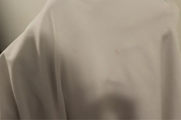 White Backless Gown - Image 5