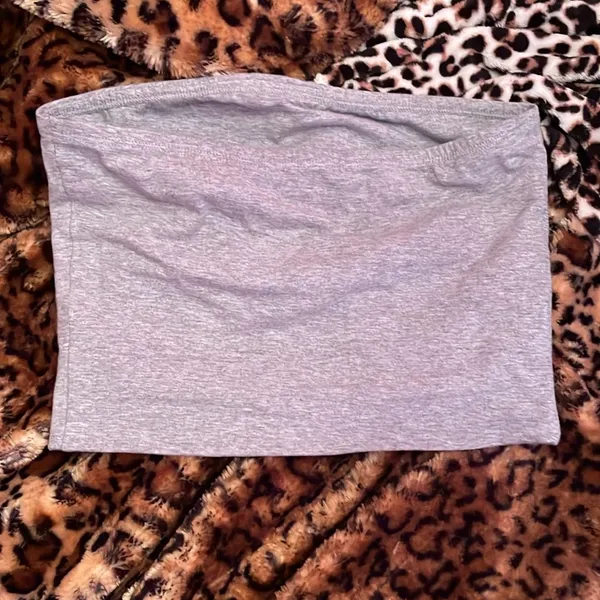 Cutest Simple Light Gray Cropped Tube Top - Image 3