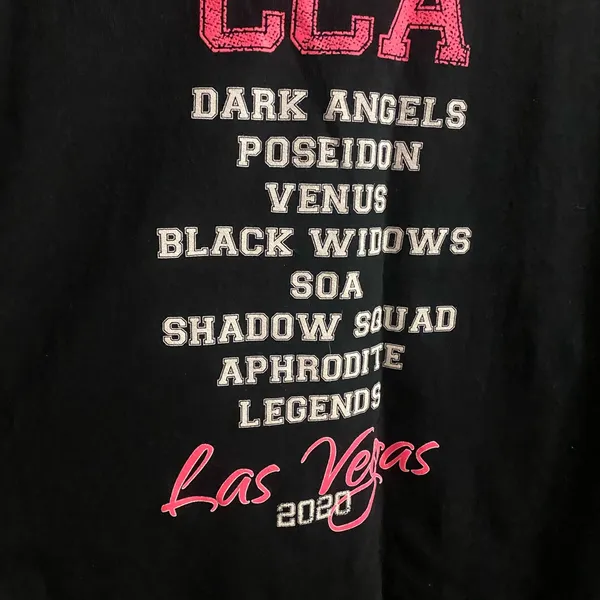 Gildan CCA Conference Of Consulting Actuaries Long Sleeve Shirt L This Is Our Game Day - Image 5